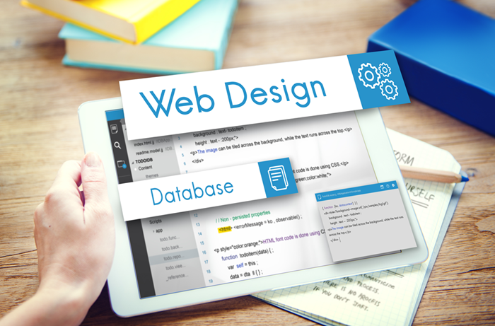 Why Professional Web Design Services Are Essential for Business Growth